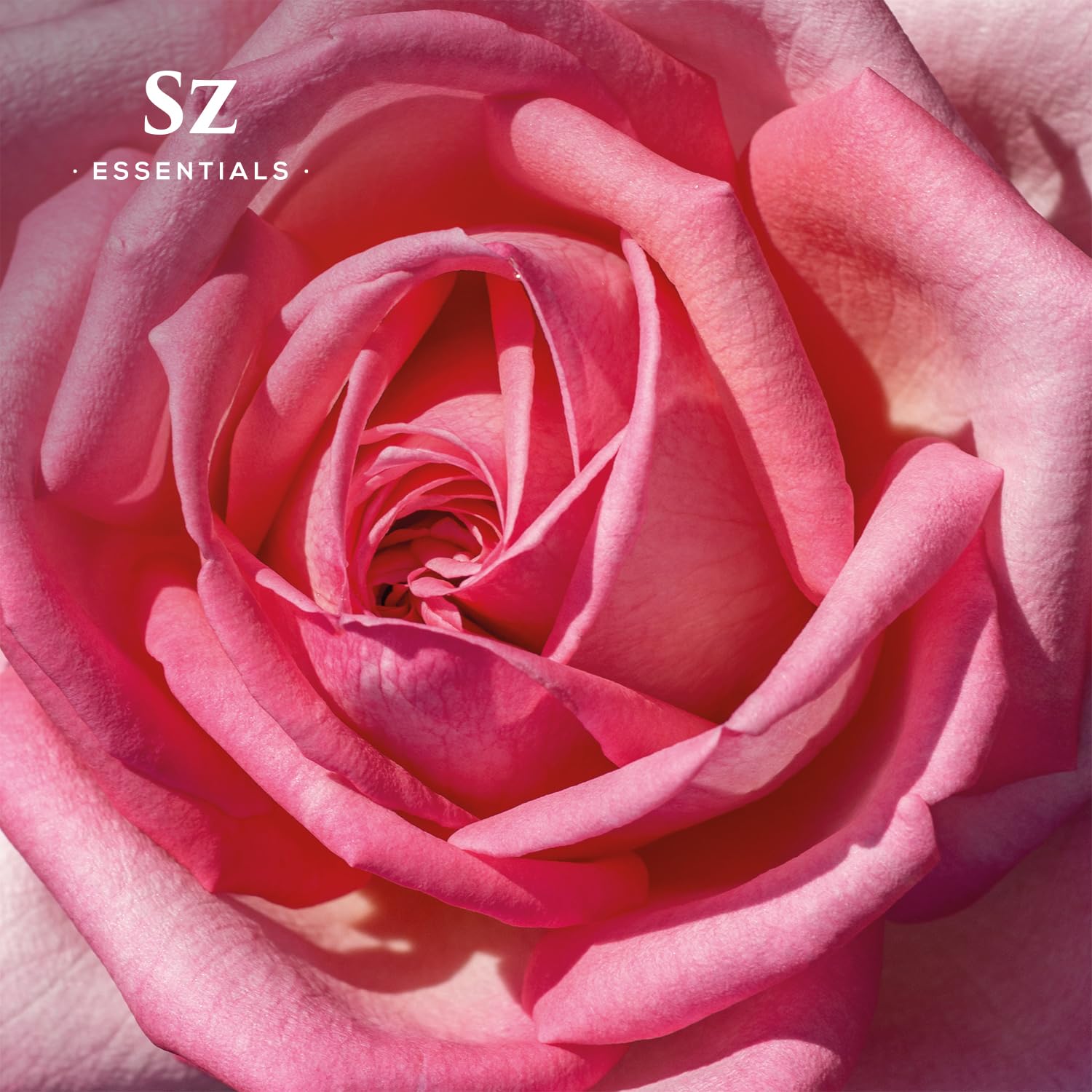 Sz Essentials Rose Absolute Oil creates a romantic bedroom ambiance.