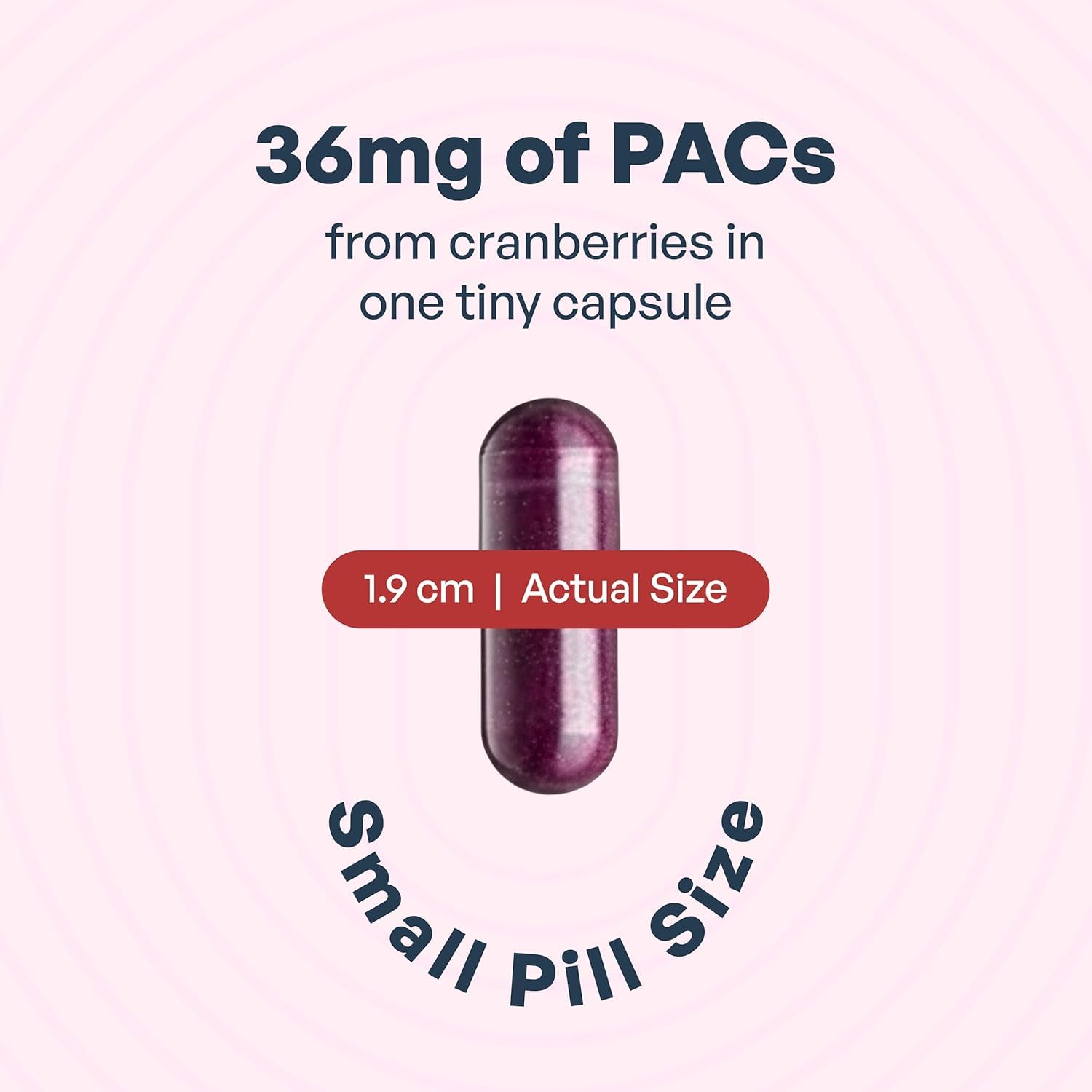 Szio+ Utiva Cranberry PACs capsules shown ready for daily use.