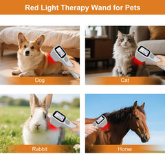 Tacbyz pet-friendly infrared wand for soothing animal discomfort