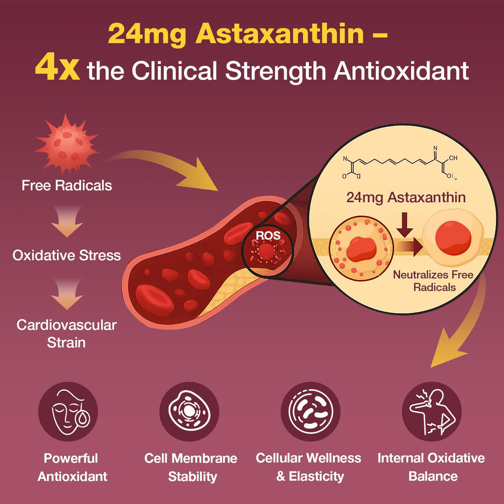 Talyvoriathor astaxanthin 24mg softgel close-up supporting antioxidant power.