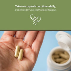 Tattva's Herbs Boswellia Serrata on-the-go scene fits active daily routines.