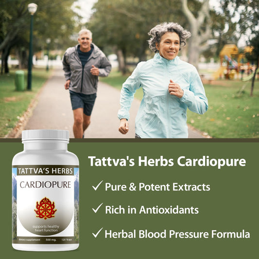 Cardiopure capsules display highlighting plant-based ingredients for everyday wellness.