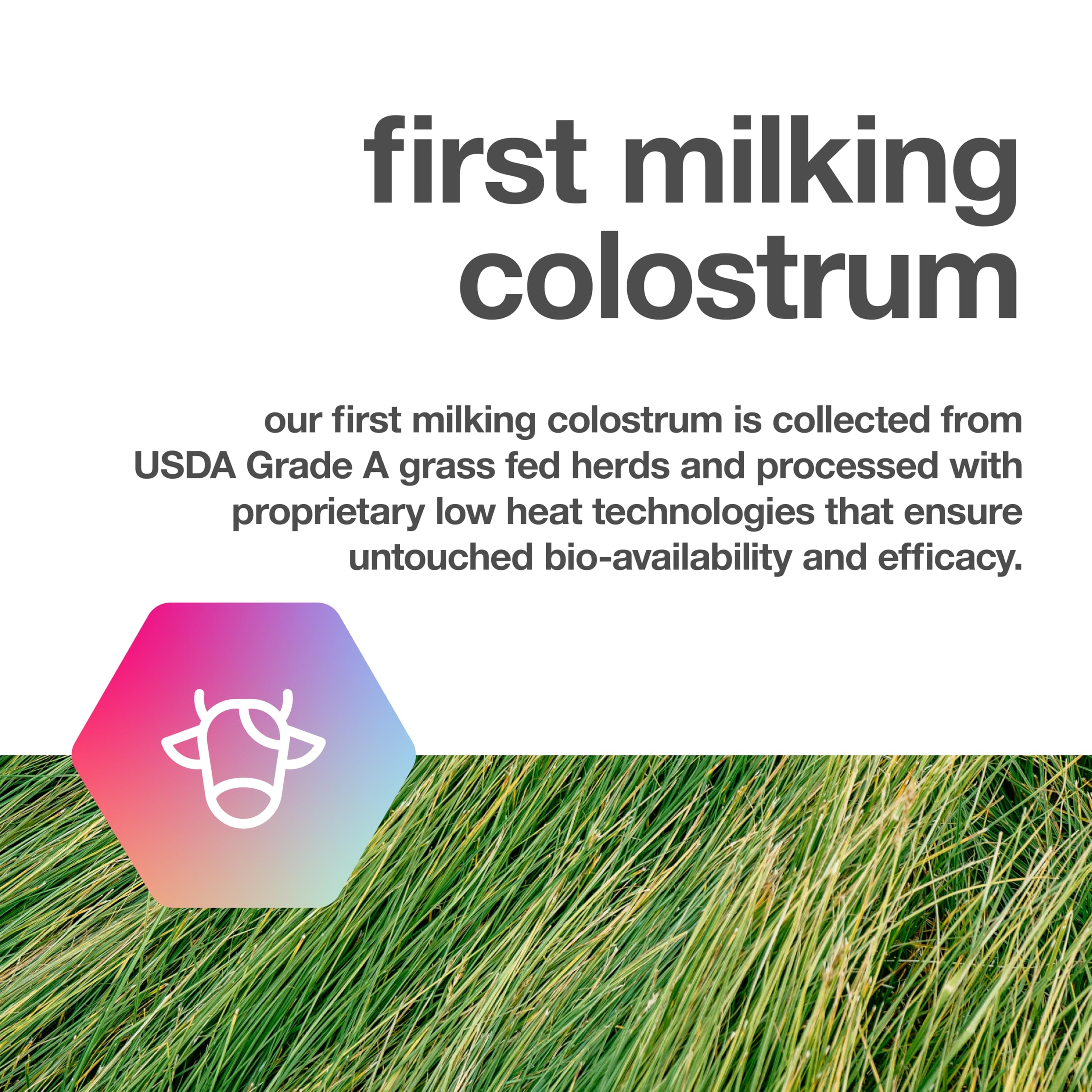 TBR Labs Pure Bovine Colostrum serving size visible on packaging for easy tracking.