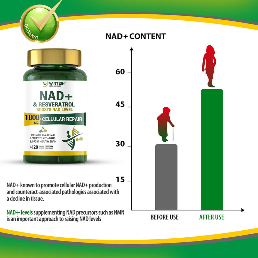 TEATTY NAD+ Plus DNA repair graphic; visual concept of DNA support and cellular renewal.