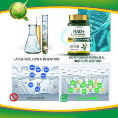 TEATTY NAD+ Plus energy scene; active lifestyle and potential energy support.