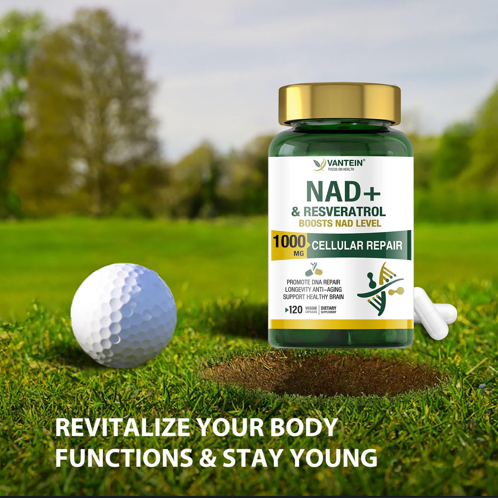 TEATTY NAD+ Plus label closeup; clear ingredient details for informed supplement choices.