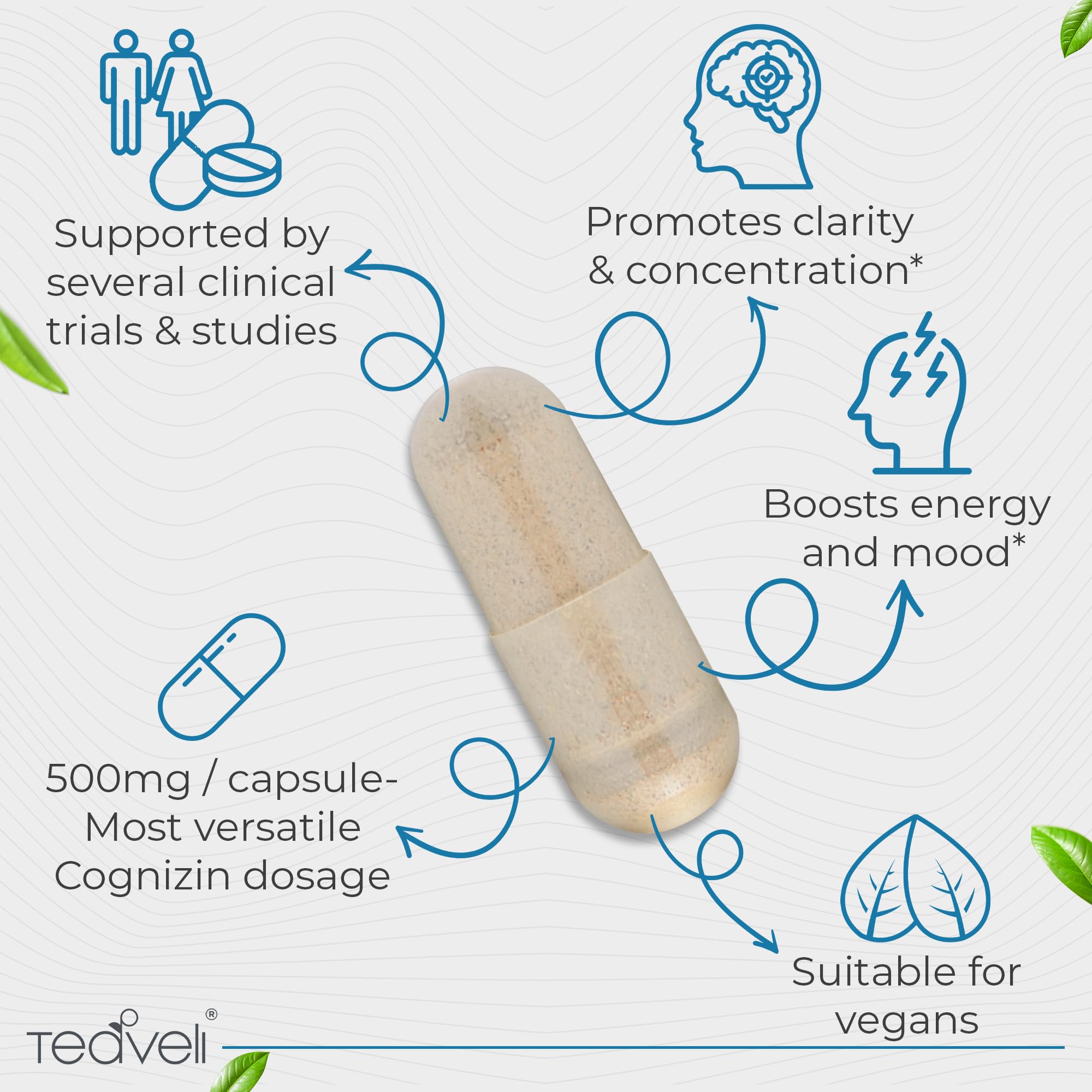 Teaveli Cognizin capsules being poured for daily brain support.
