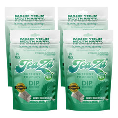 TeaZa Wintergreen Chill pouch closeup showing nicotine-free energy and refreshing flavor