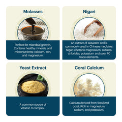 TeraGanix EM-X Gold health benefits graphic conveying balance and vitality.