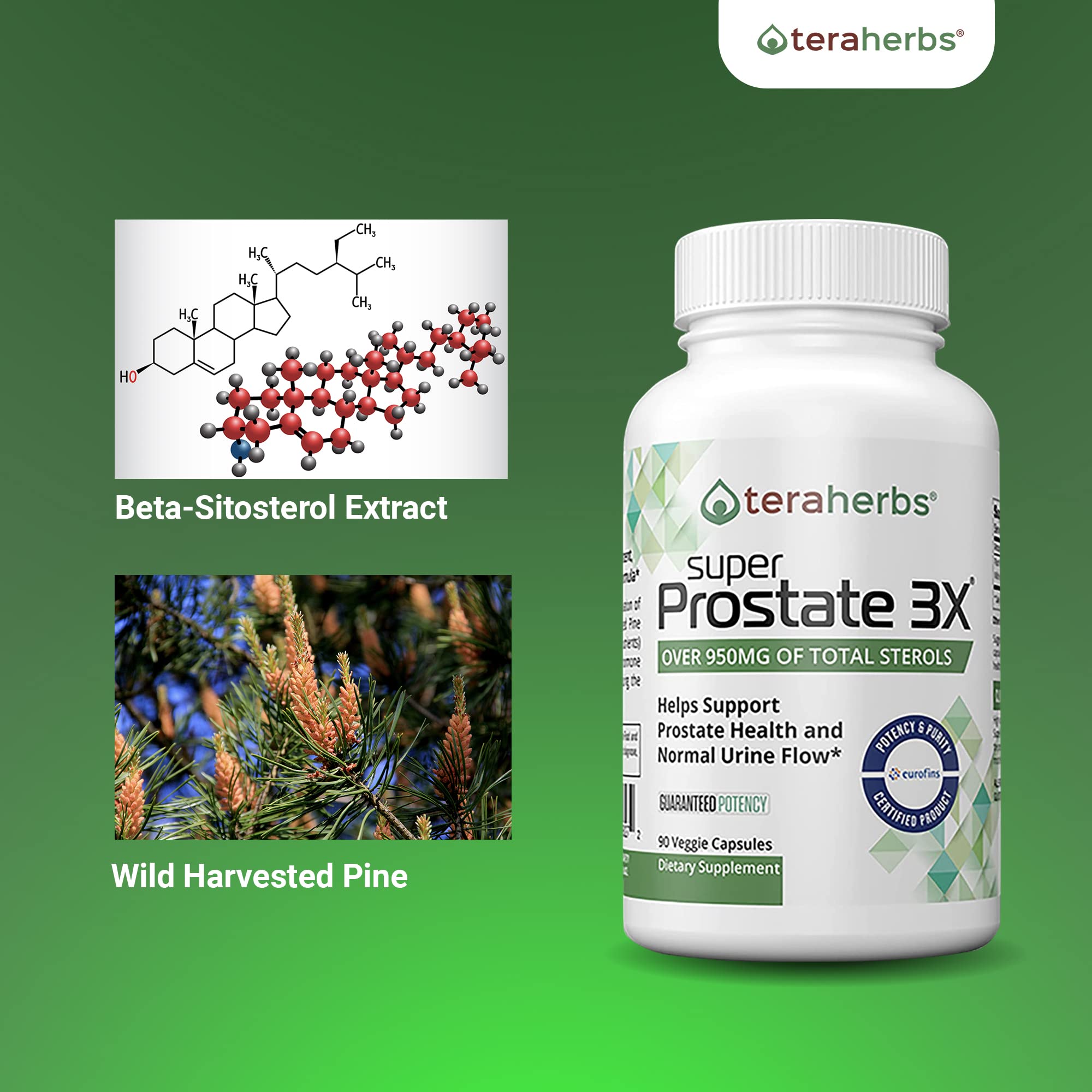 Teraherbs capsules near glass of water for dosing.