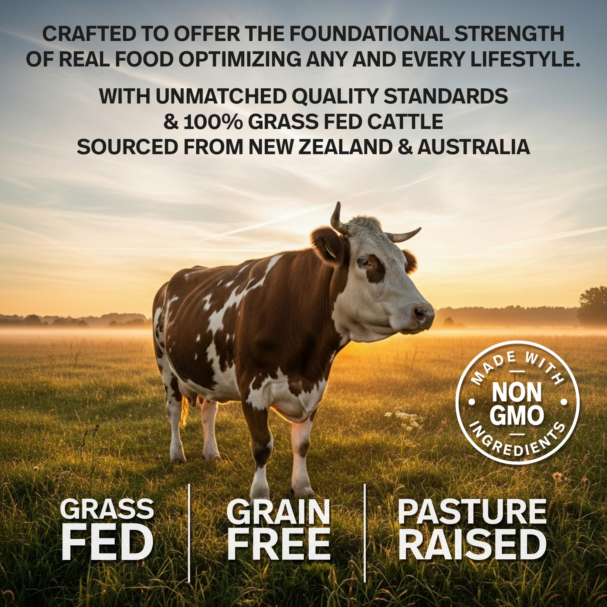 Teraputics desiccated beef liver pills with grain-free purity