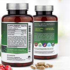Teraputics IntestinePro capsules close-up showing vegetarian capsules