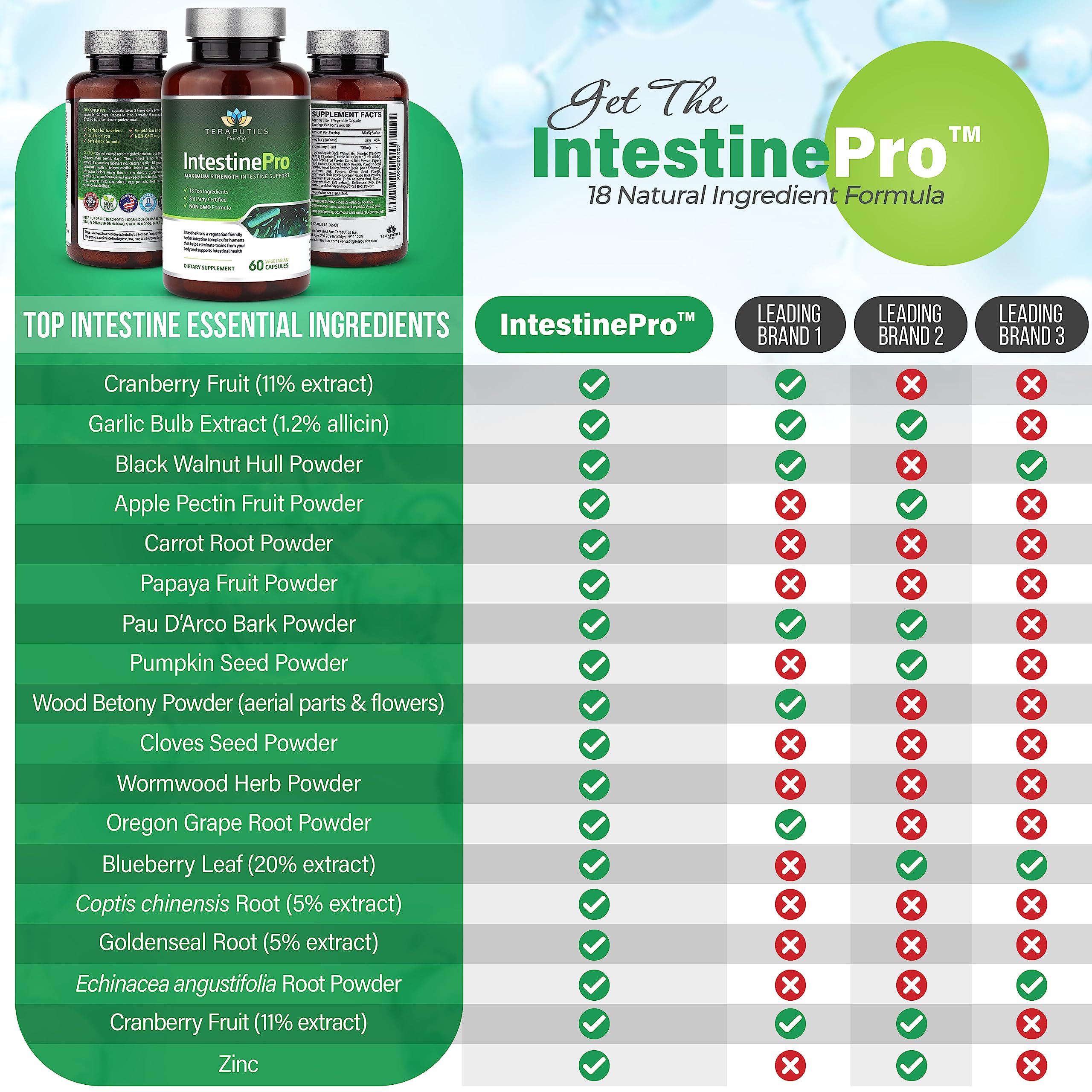 Teraputics IntestinePro ingredients close-up highlighting non GMO blend