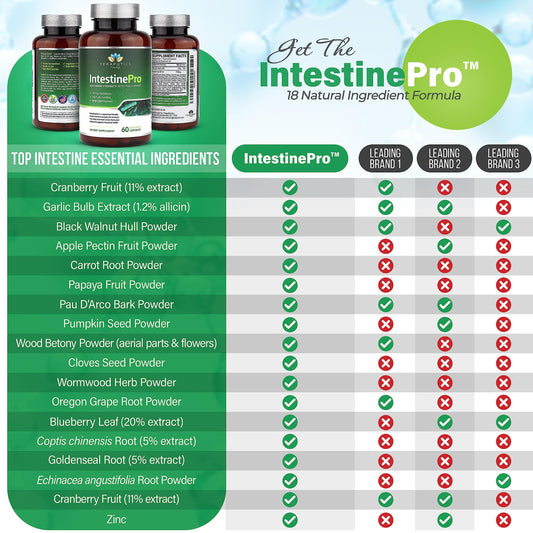 Teraputics IntestinePro ingredients close-up highlighting non GMO blend
