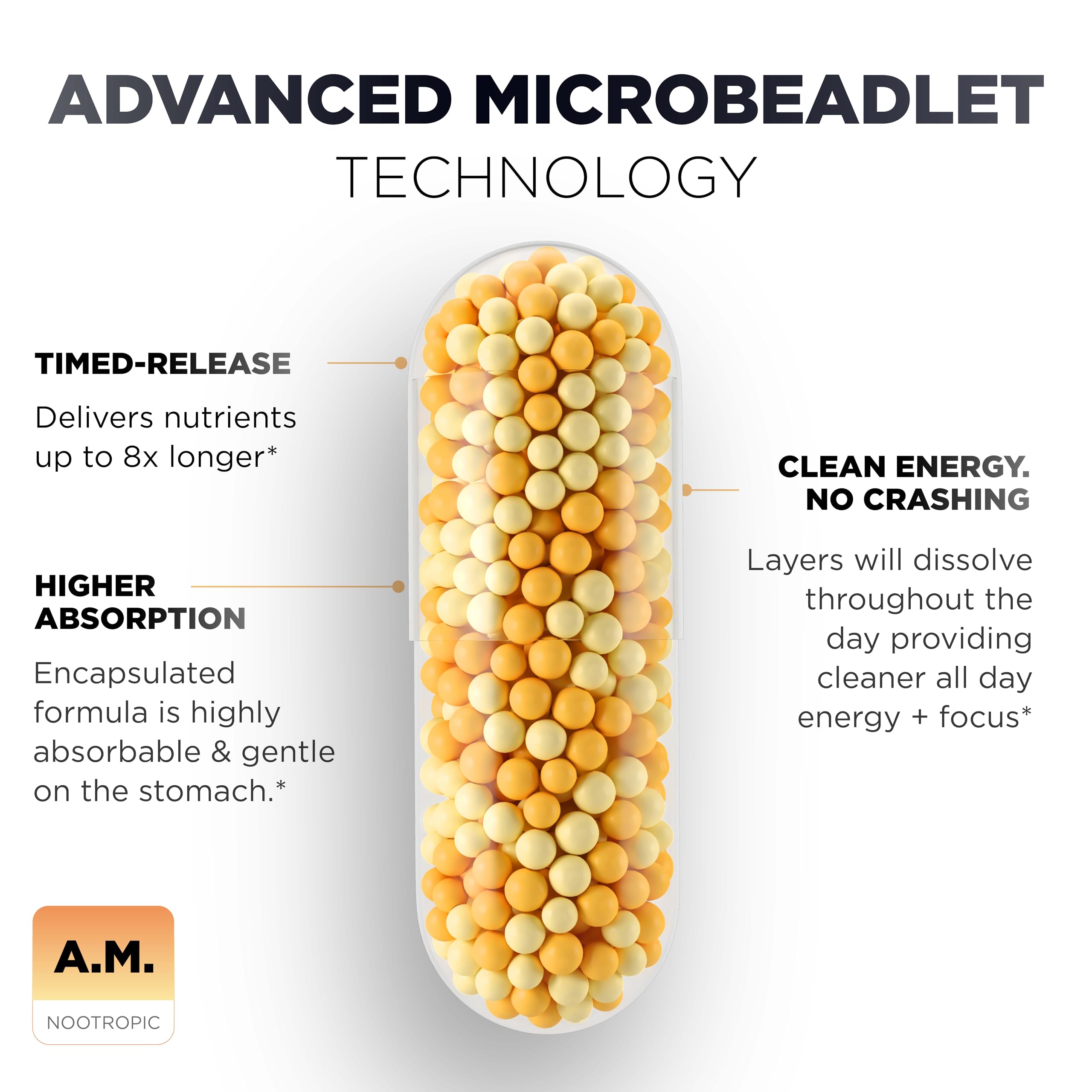 Terra Elmnt AMPM Alpha GPC capsule closeup signaling memory-focused ingredients