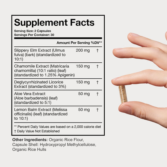Terra Health Essentials Acid Relief capsules ready for daily gut balance.