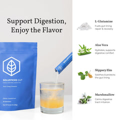 Terra Health Essentials Solusticks Gut bottle and packaging on kitchen counter.