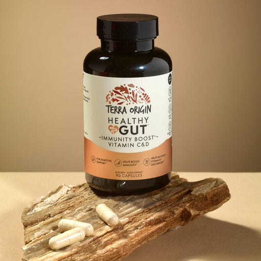 Terra Origin Healthy Gut capsules closeup shows convenient daily supplement for digestion.
