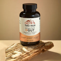 Terra Origin Healthy Gut capsules closeup shows convenient daily supplement for digestion.