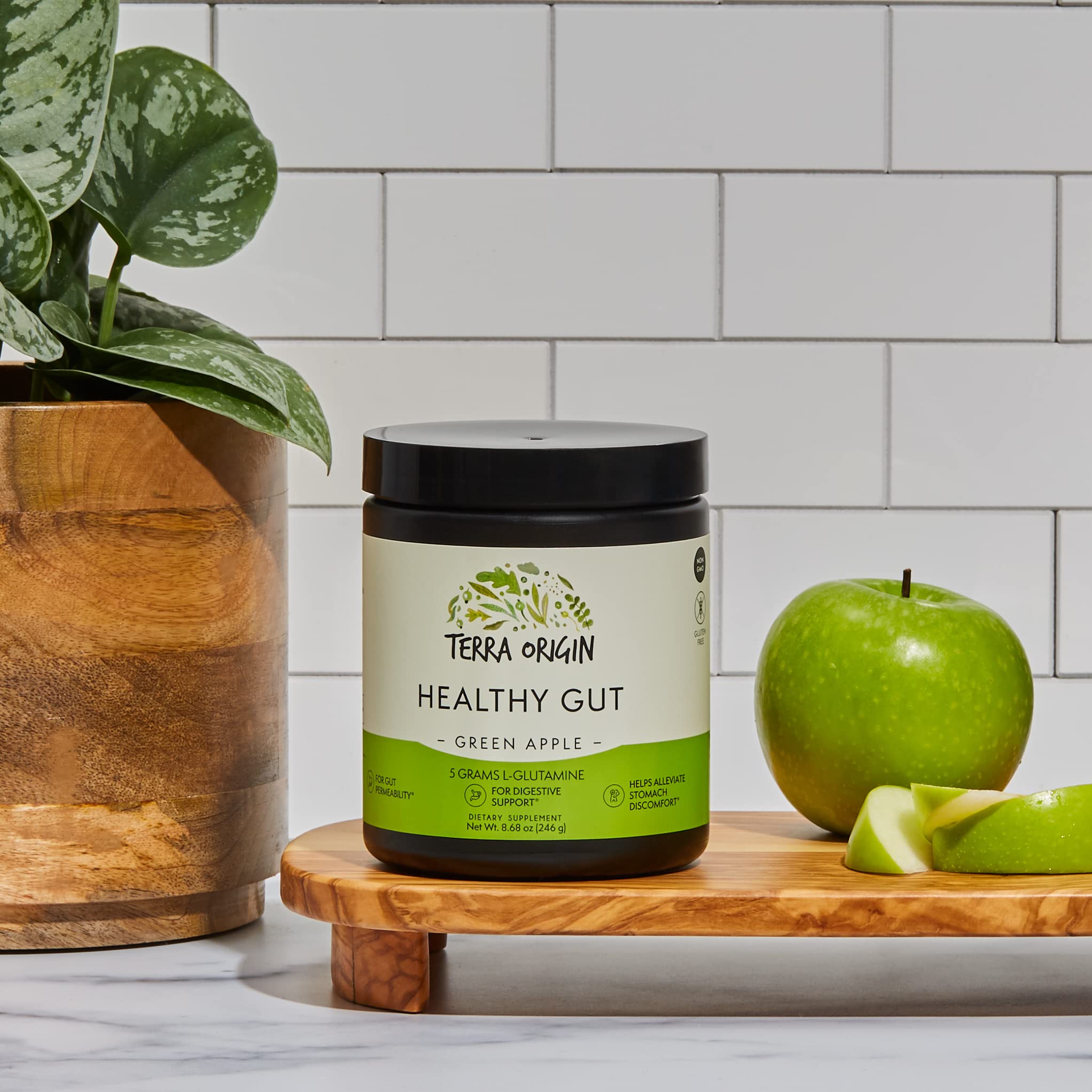 Terra Origin Healthy Gut ingredients l-glutamine highlighting repair and absorption