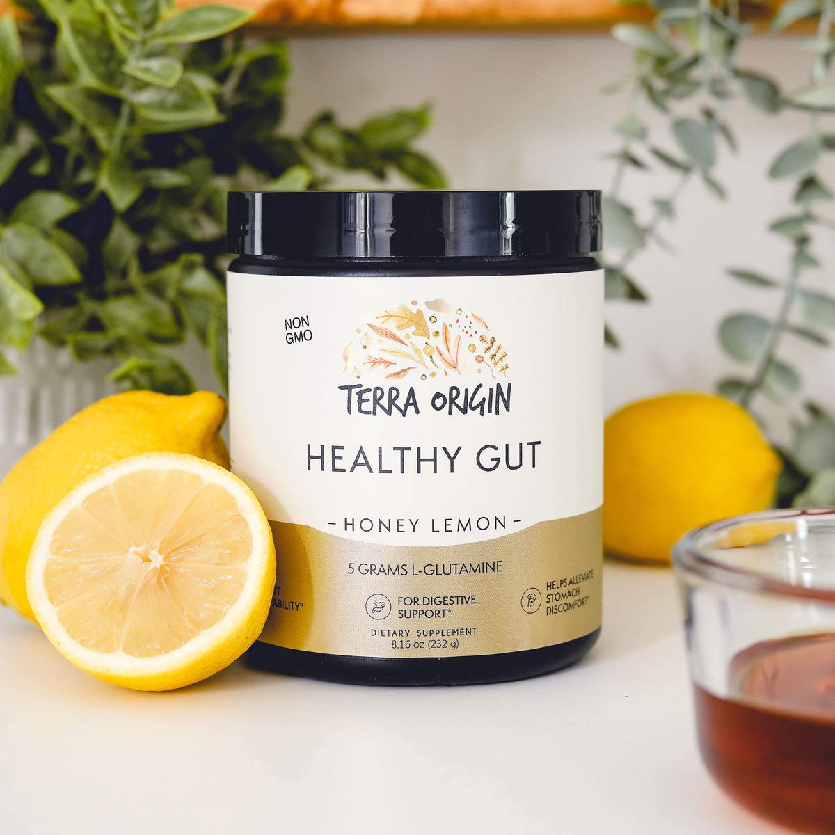 Terra Origin Healthy Gut Powder morning routine setup supports consistency