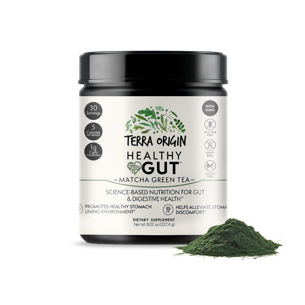 Terra Origin Healthy Gut Powder tub close-up highlighting digestive-supporting blend for everyday comfort.