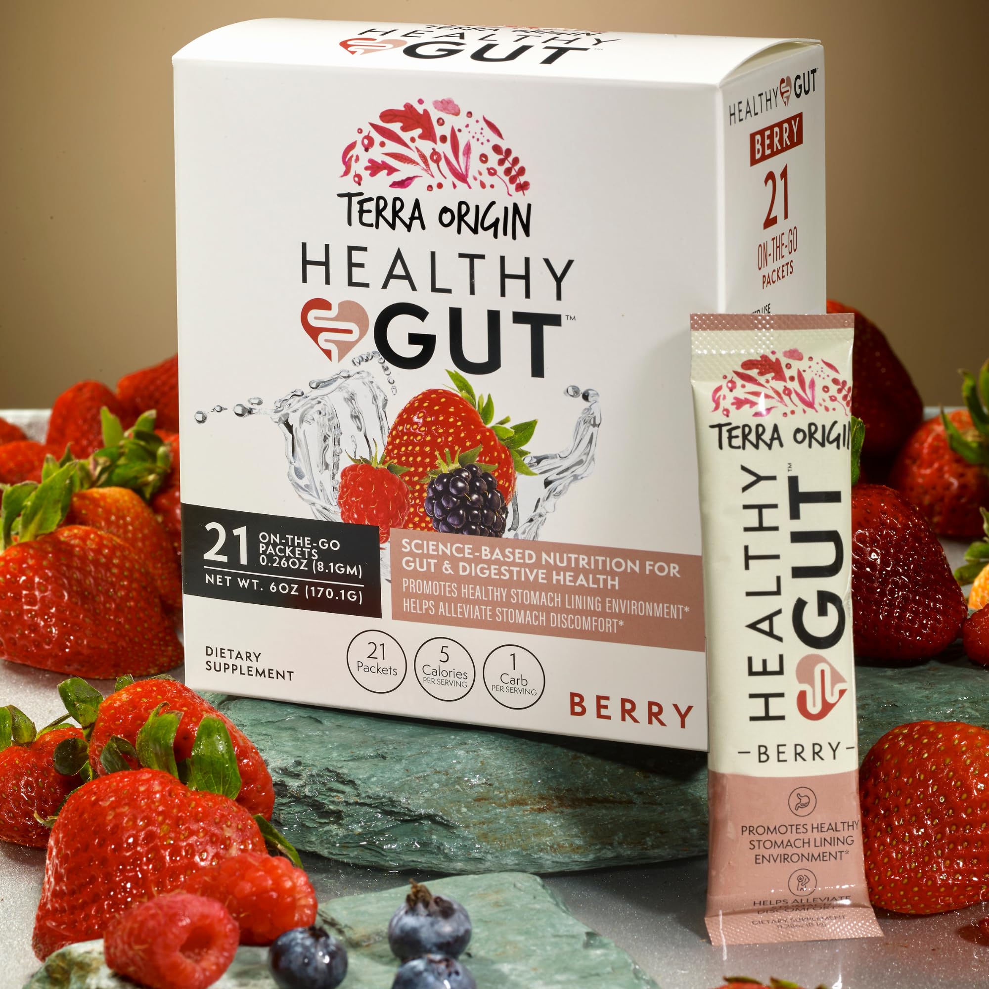 Terra Origin Healthy Gut Stick Packs box back with ingredient details for gut support.