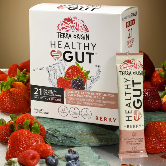 Terra Origin Healthy Gut Stick Packs box back with ingredient details for gut support.