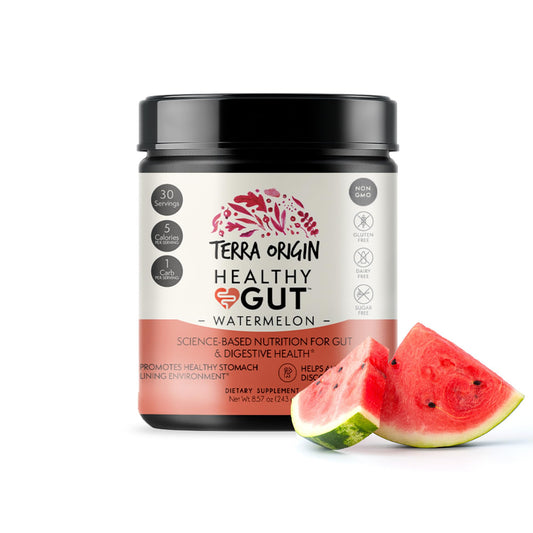 Terra Origin Healthy Gut Watermelon bottle shows sleek packaging for digestive support.