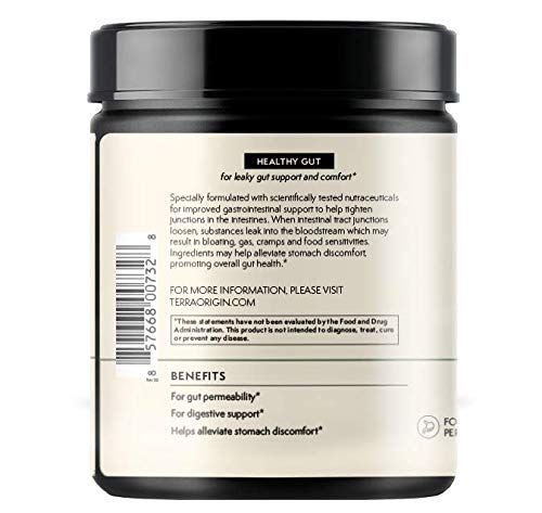 Terra Origin L-Glutamine Zinc Glucosamine ingredients scene suggests gut-supporting nourishment.