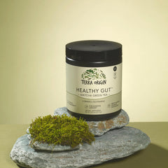 Terra Origin Slippery Elm Bark dried slices illustrate soothing herbal notes for gut care.
