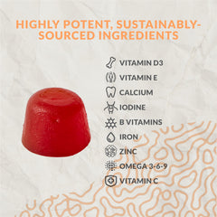 Omega-3 gummy from Terraseed supporting growth and brain development for kids.