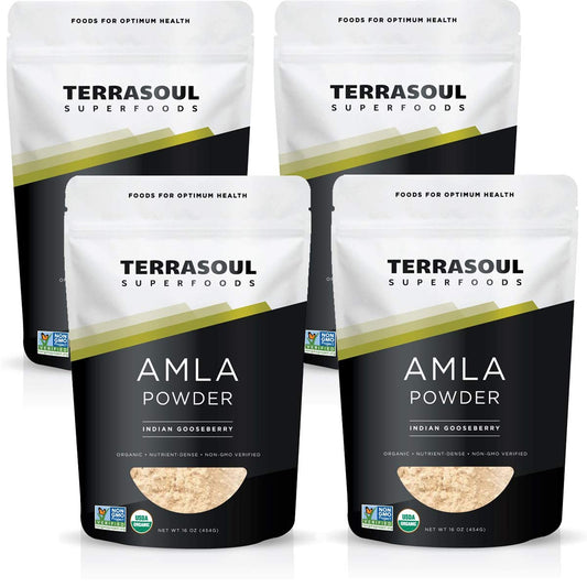 Terrasoul Organic Amla Powder jar showing brand label and purity