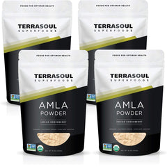 Terrasoul Organic Amla Powder jar showing brand label and purity