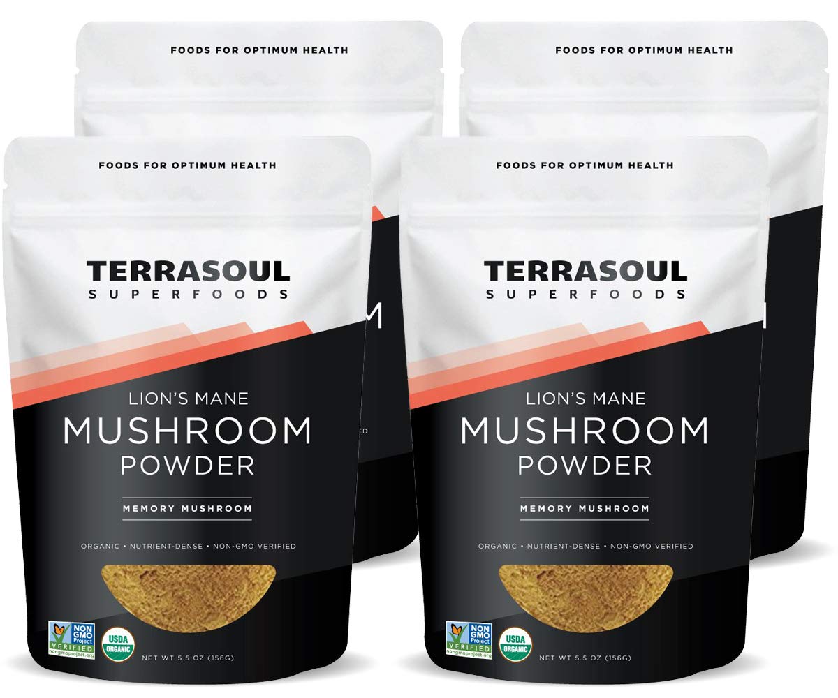 Terrasoul Lion's Mane powder in a 4:1 extract bag, signaling purity and potency.