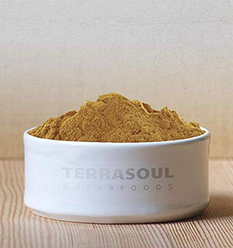 Terrasoul Lion's Mane lab-tested powder shown for purity and potency.
