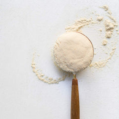 Terrasoul maca powder closeup texture showing fine powder