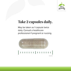 Detail of DHEA ingredient within Adrenaplex supports adrenal function