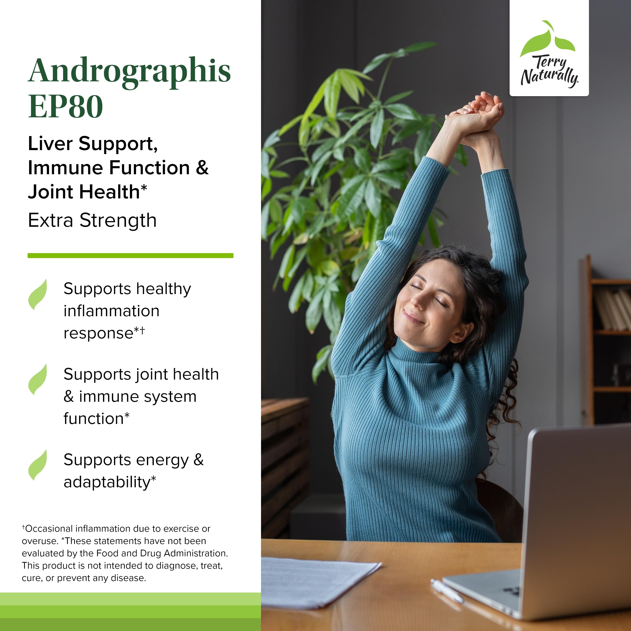 Terry Naturally Andrographis EP80 capsules in a glass, showing compact daily use