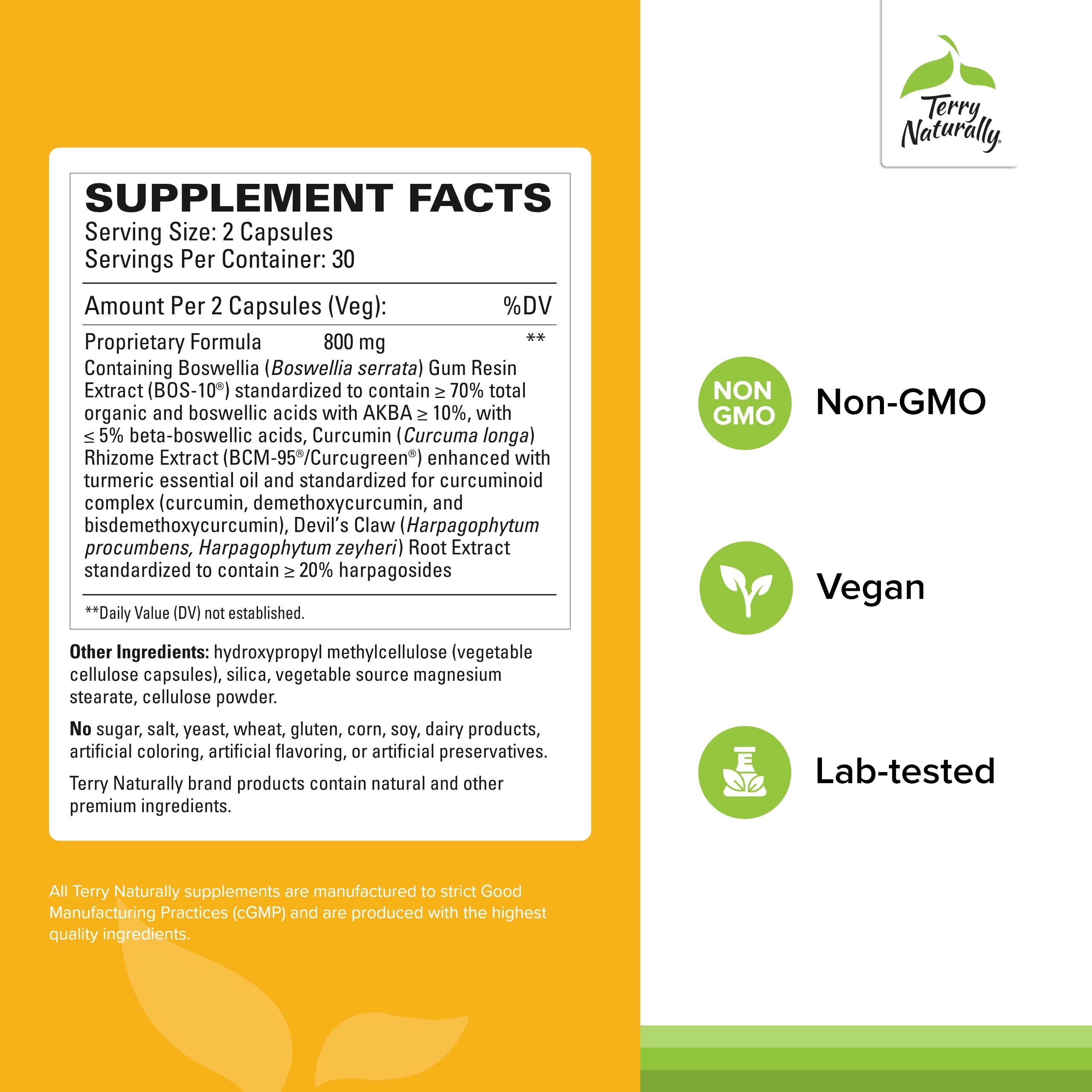 Terry Naturally Arthocin capsules in hand for daily use