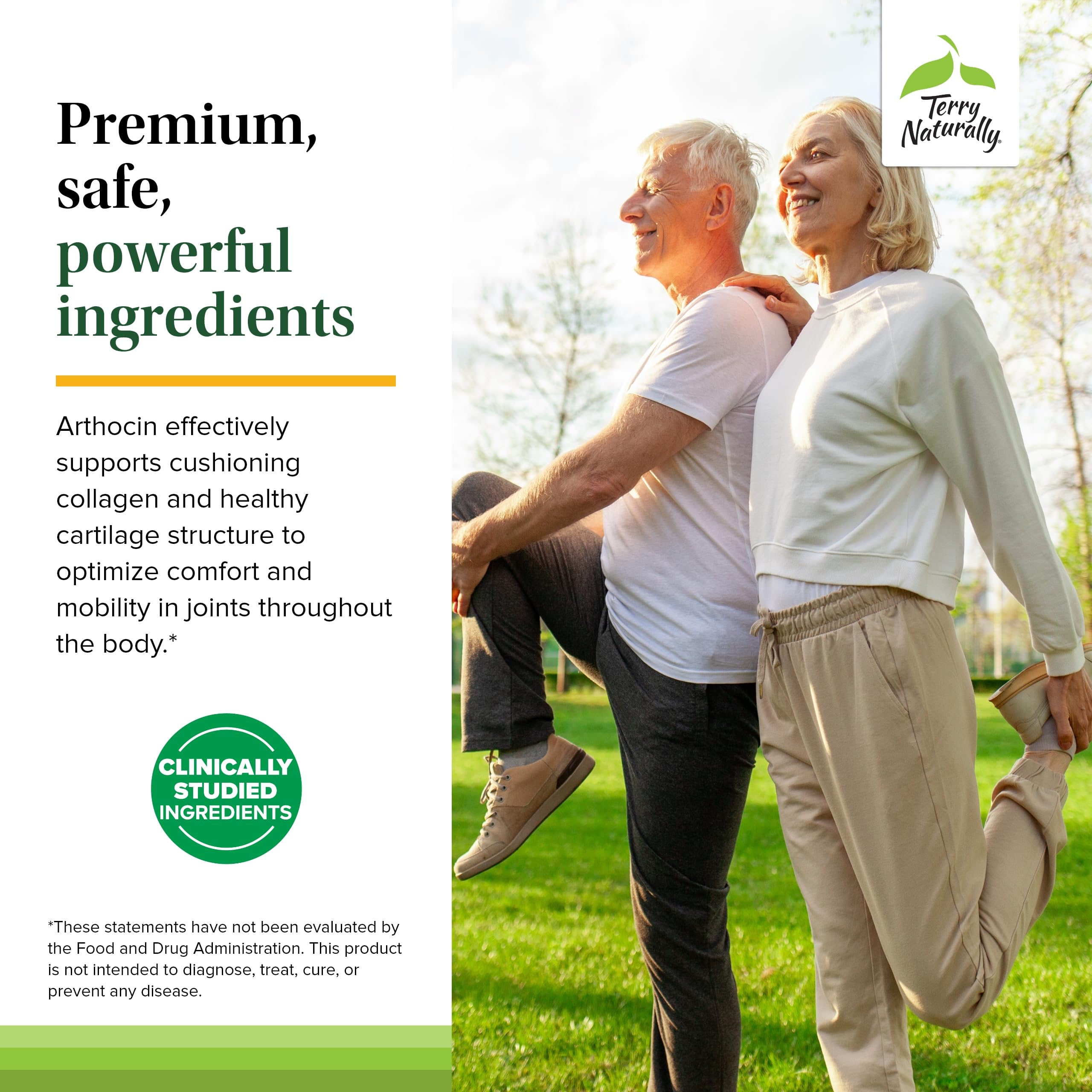 Terry Naturally Arthocin ingredient panel featuring curcumin and boswellia