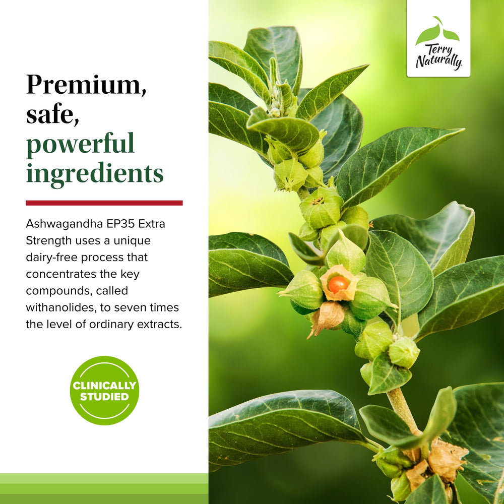 Terry Naturally Ashwagandha EP35 capsules beside a daily routine setup for use.