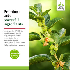 Terry Naturally Ashwagandha EP35 capsules beside a daily routine setup for use.