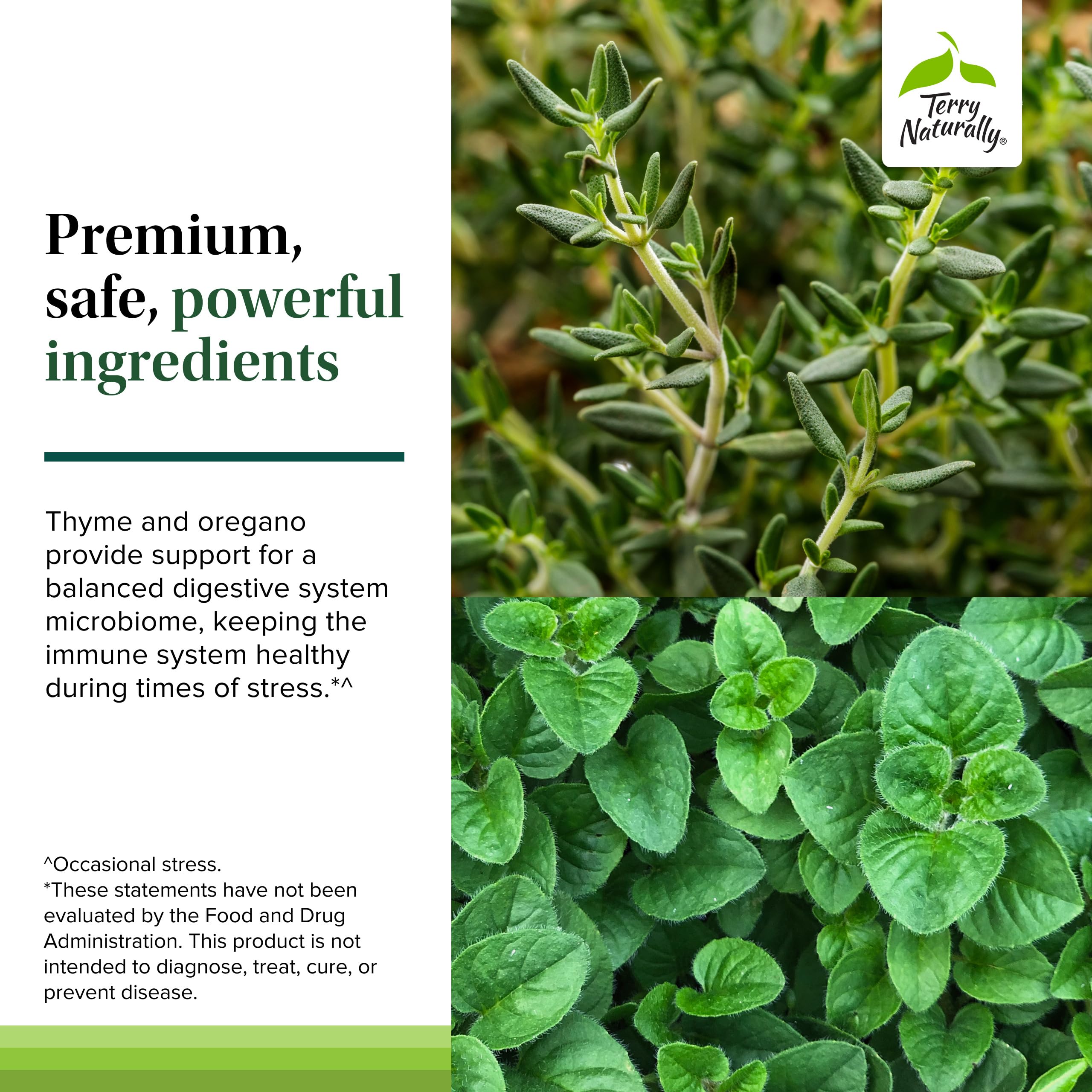 Terry Naturally Bacteril Extra Strength digestive health scene emphasizing balance and well-being