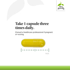 Terry Naturally Berberine bottle on desk emphasizing focus on liver and brain health