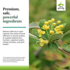 Terry Naturally Berberine dosing scene illustrates three-times-a-day regimen