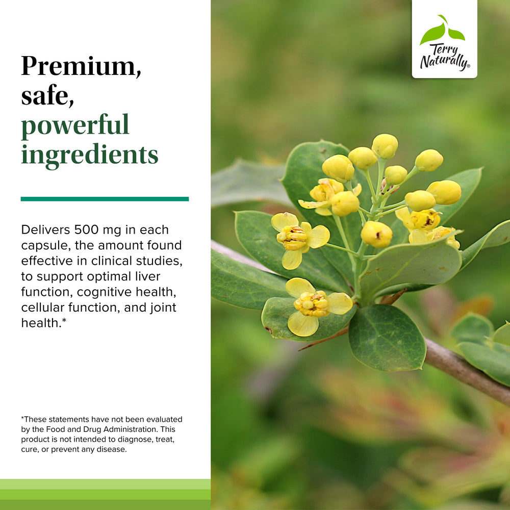 Terry Naturally Berberine joint health visual suggests support for joints and mobility
