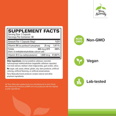 Terry Naturally BioActive Vitamin B bottle back label highlights methylcobalamin, folate, and P-5-P for nervous system support