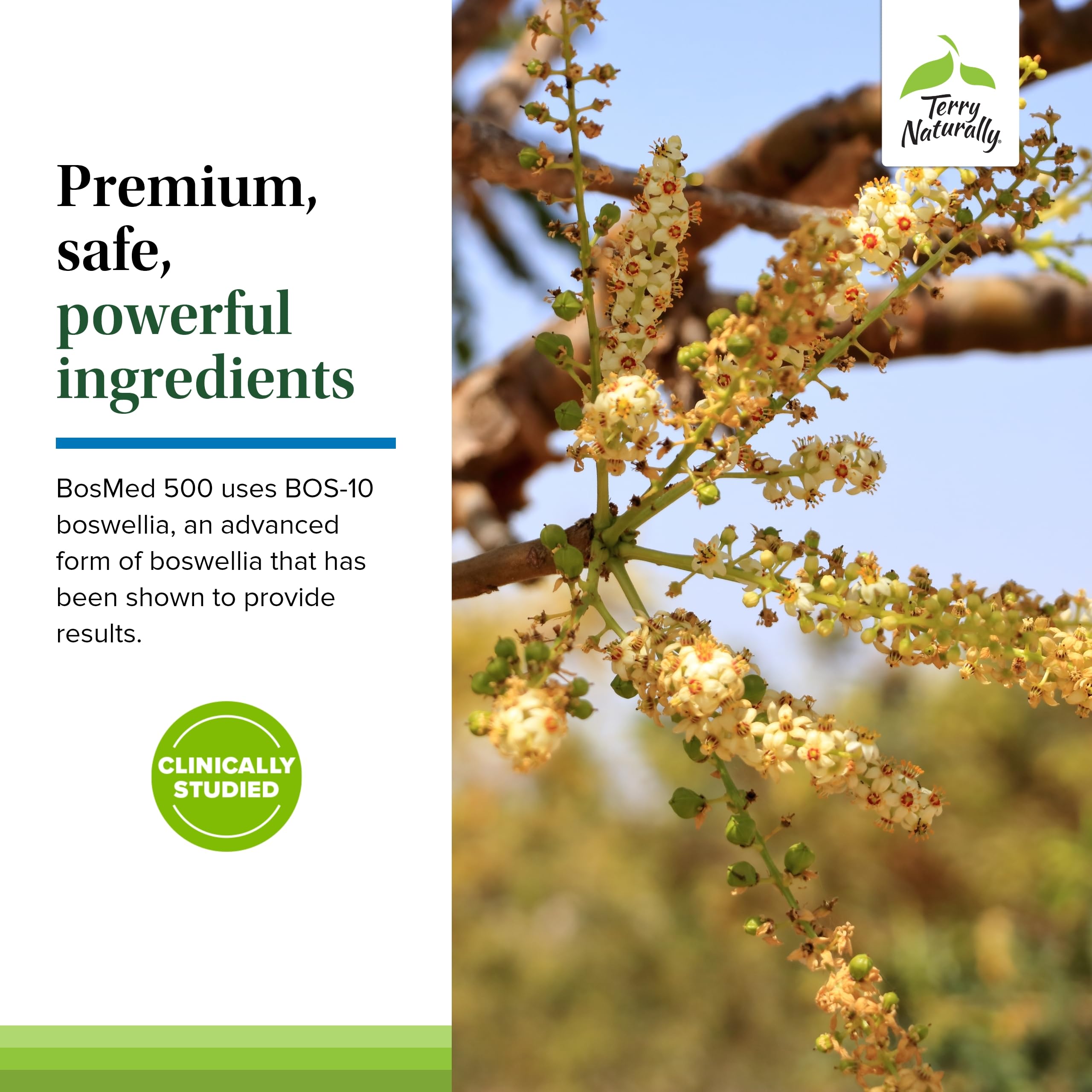 Terry Naturally BosMed 500 full pack shown on shelf for routine use