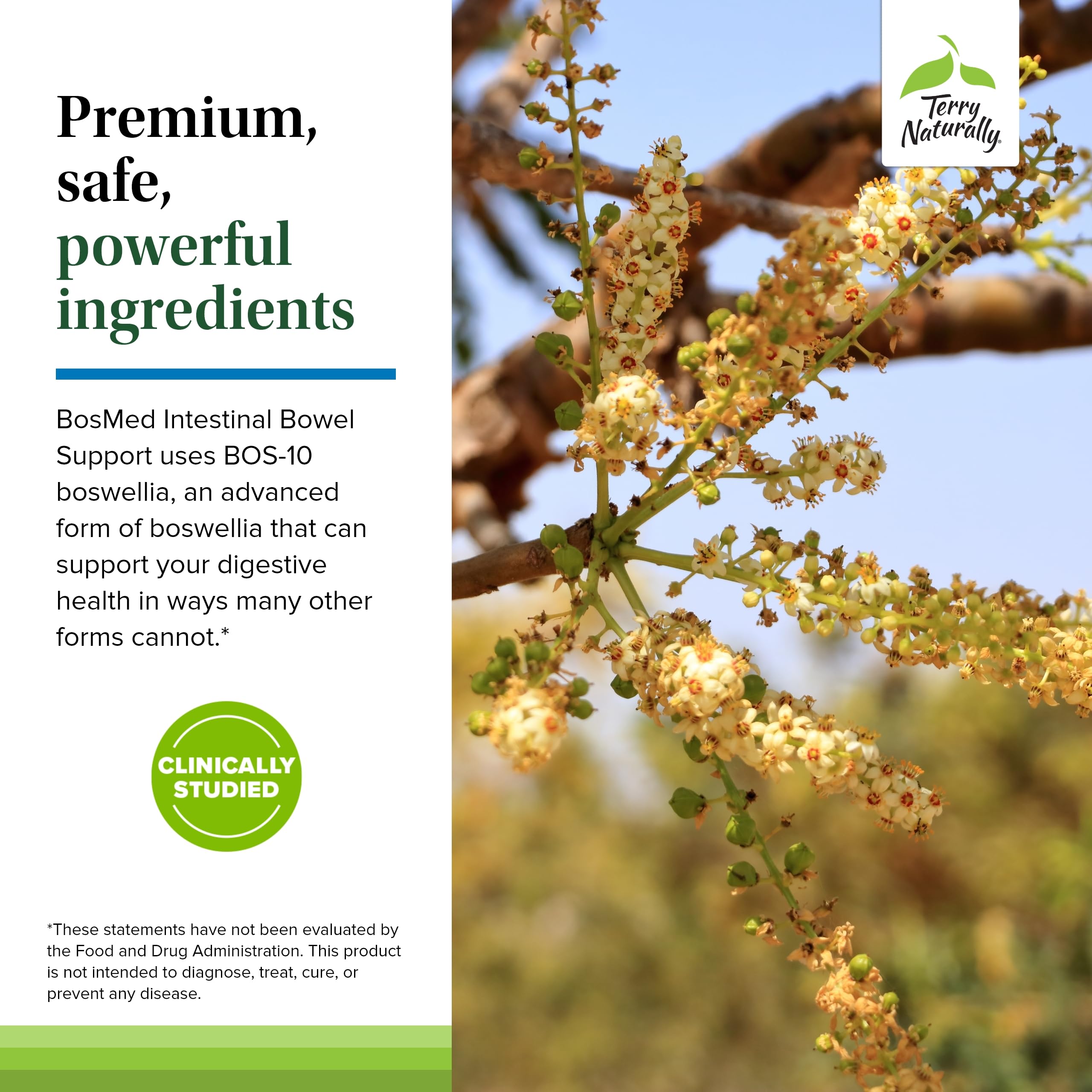 Terry Naturally BosMed box pack featuring 60 softgels and branding